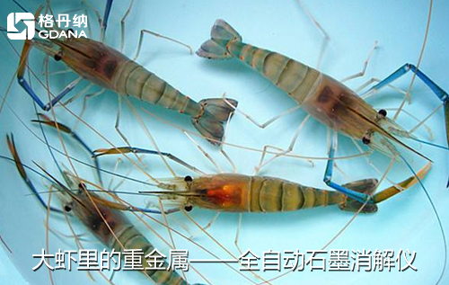 魚、貝、蝦